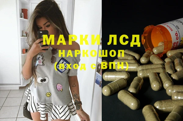 стафф Алексин