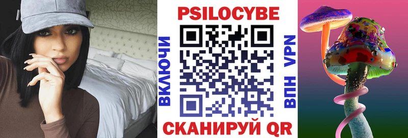 Галлюциногенные грибы Psilocybine cubensis  дарнет шоп  Павлово 