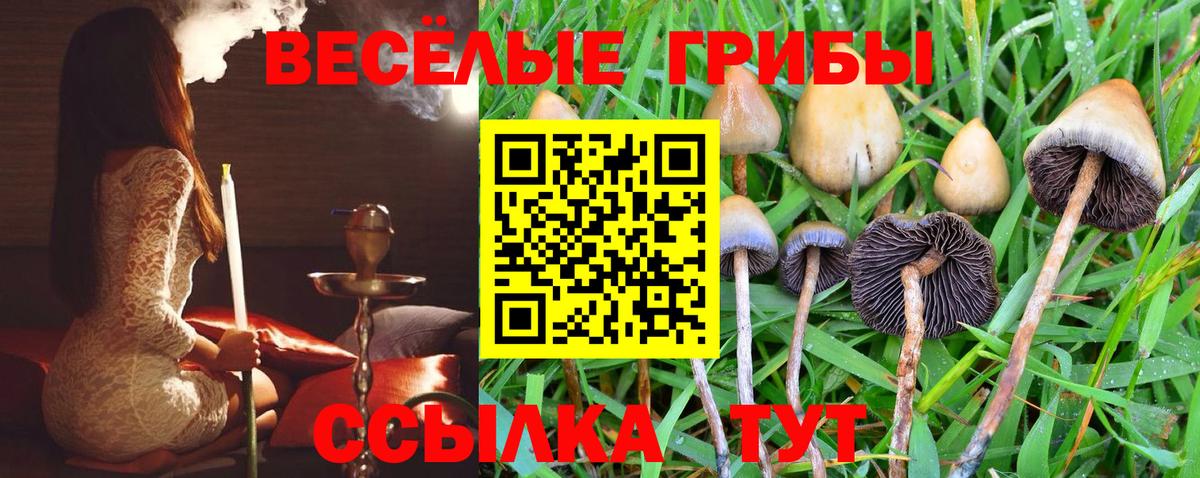 Псилоцибиновые грибы Psilocybe  Вход с VPN  Павлово  Галлюциногенные грибы MAGIC MUSHROOMS 